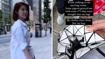 Jeanette Aw Was Walking In Tokyo When A Pigeon Pooped Right In Her Designer Bag
